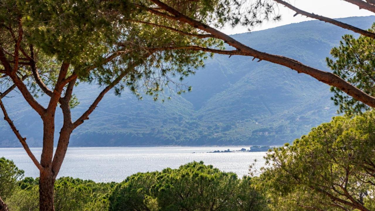 Camping Lacona Pineta Capoliveri  Extérieur photo