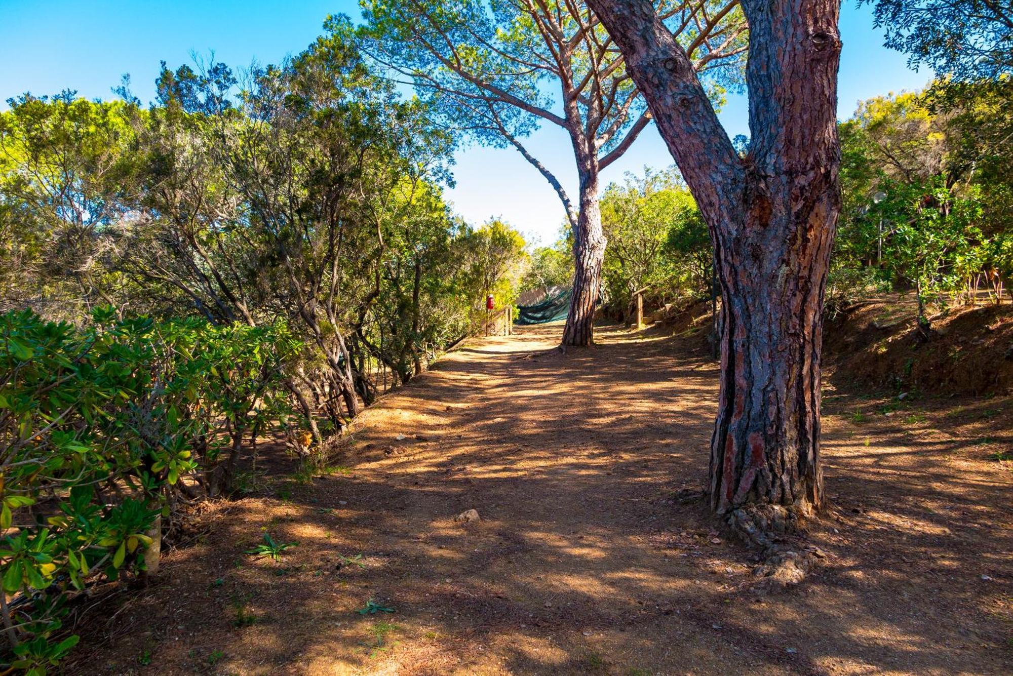 Camping Lacona Pineta Capoliveri  Extérieur photo